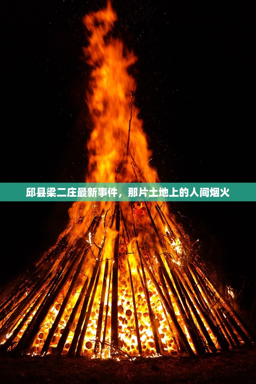 邱县梁二庄最新事件,那片土地上的人间烟火 邱县梁二庄最新事件,那片土地上的人间烟火