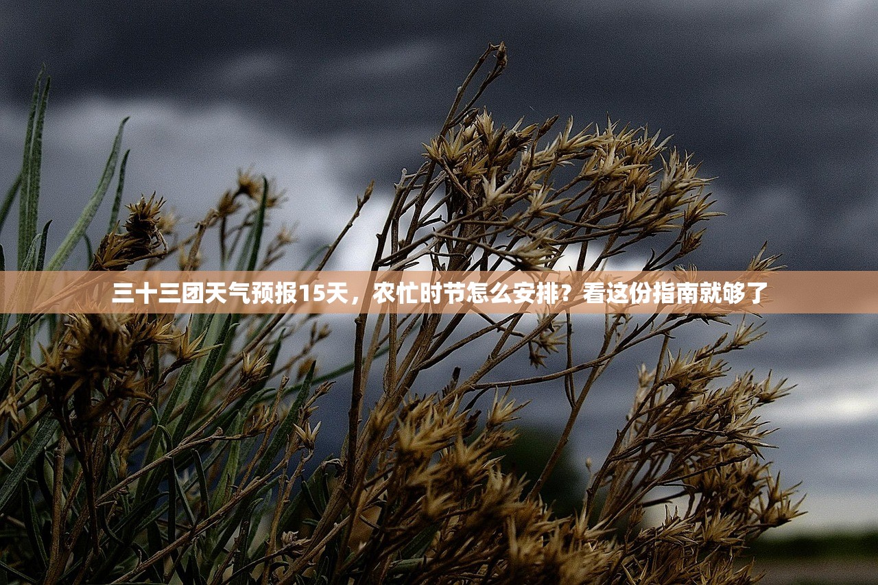 三十三团天气预报15天,农忙时节怎么安排?看这份指南就够了 三十三团天气预报15天,农忙时节怎么安排?看这份指南就够了