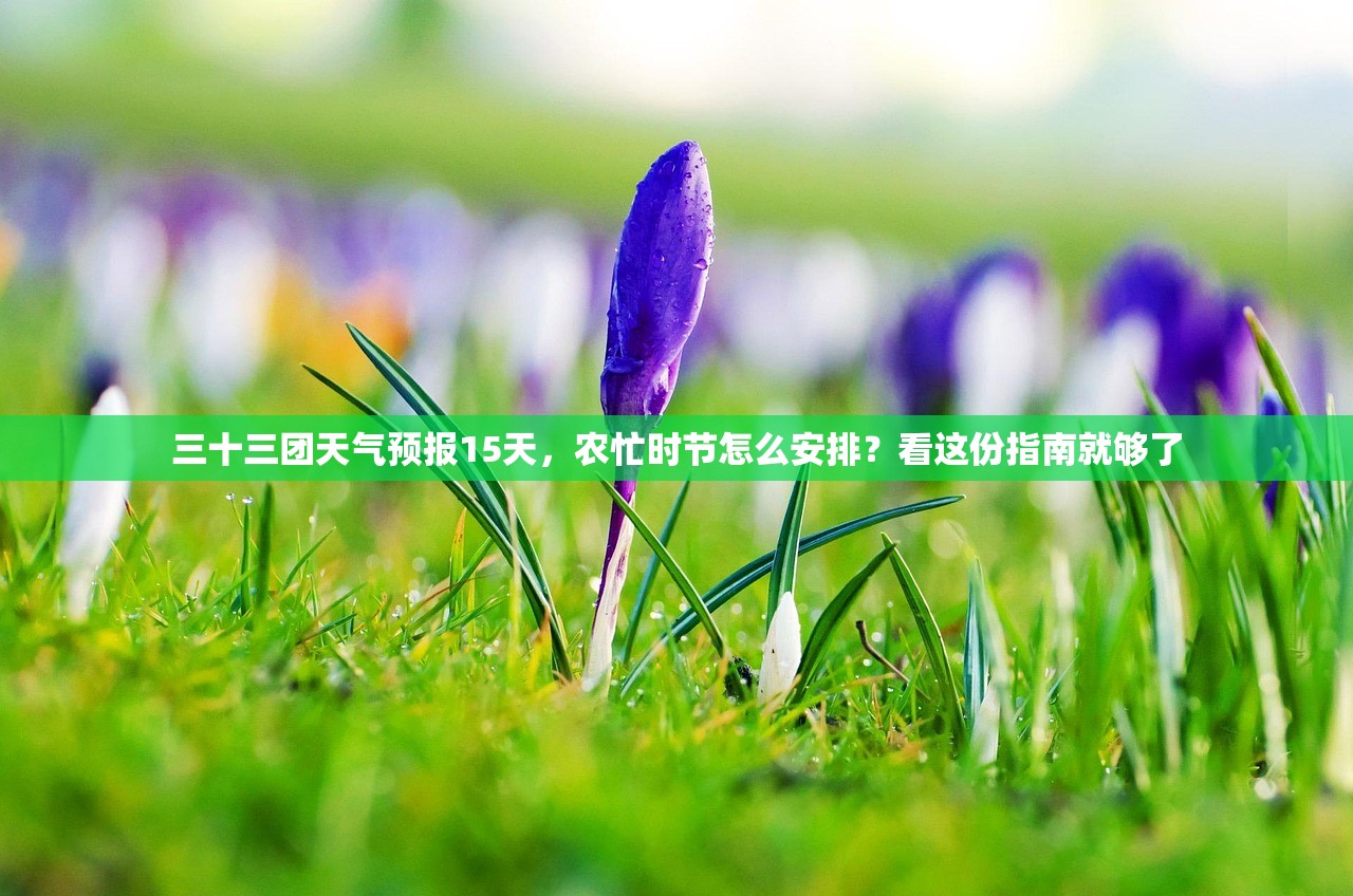 三十三团天气预报15天,农忙时节怎么安排?看这份指南就够了 三十三团天气预报15天,农忙时节怎么安排?看这份指南就够了