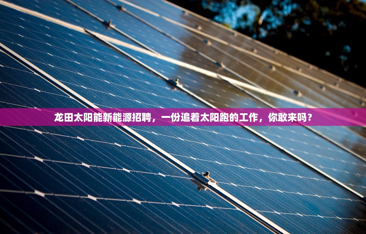 龙田太阳能新能源招聘,一份追着太阳跑的工作,你敢来吗? 龙田太阳能新能源招聘,一份追着太阳跑的工作,你敢来吗?