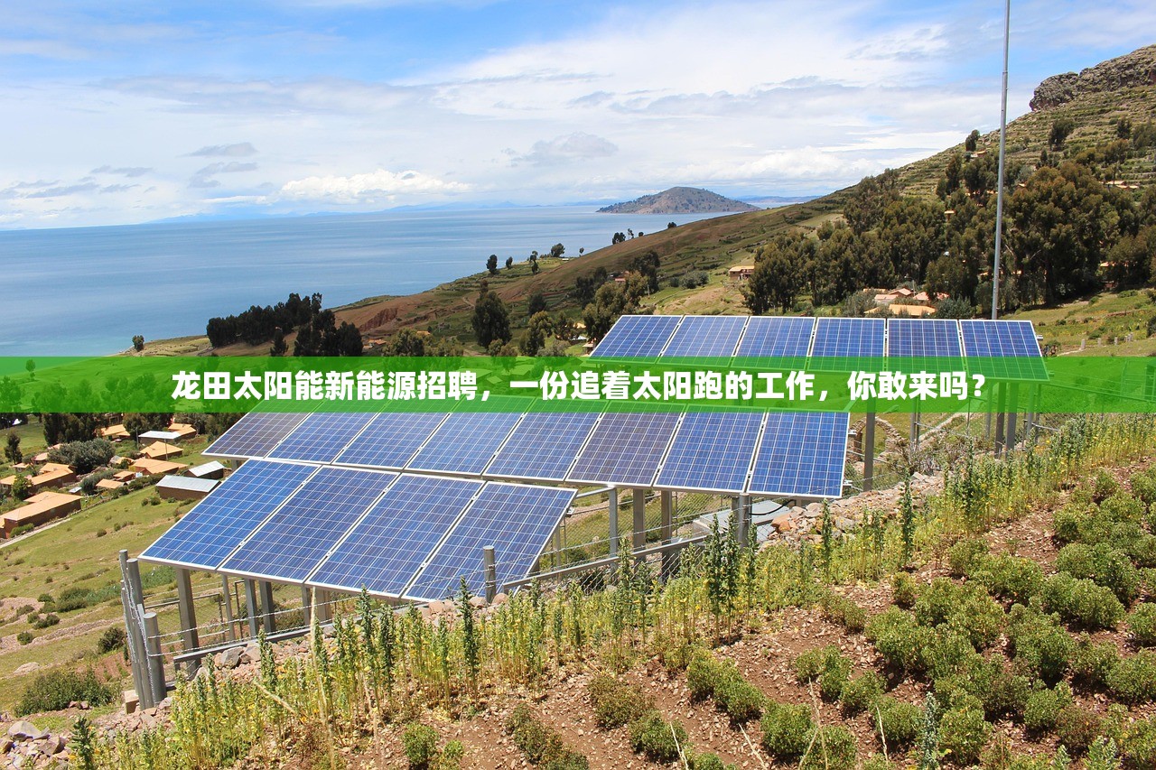 龙田太阳能新能源招聘,一份追着太阳跑的工作,你敢来吗? 龙田太阳能新能源招聘,一份追着太阳跑的工作,你敢来吗?