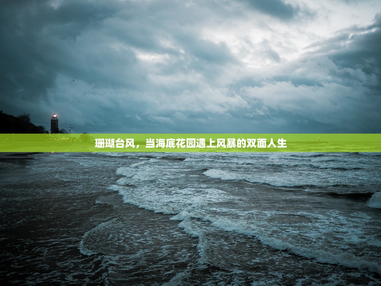 珊瑚台风,当海底花园遇上风暴的双面人生 珊瑚台风,当海底花园遇上风暴的双面人生