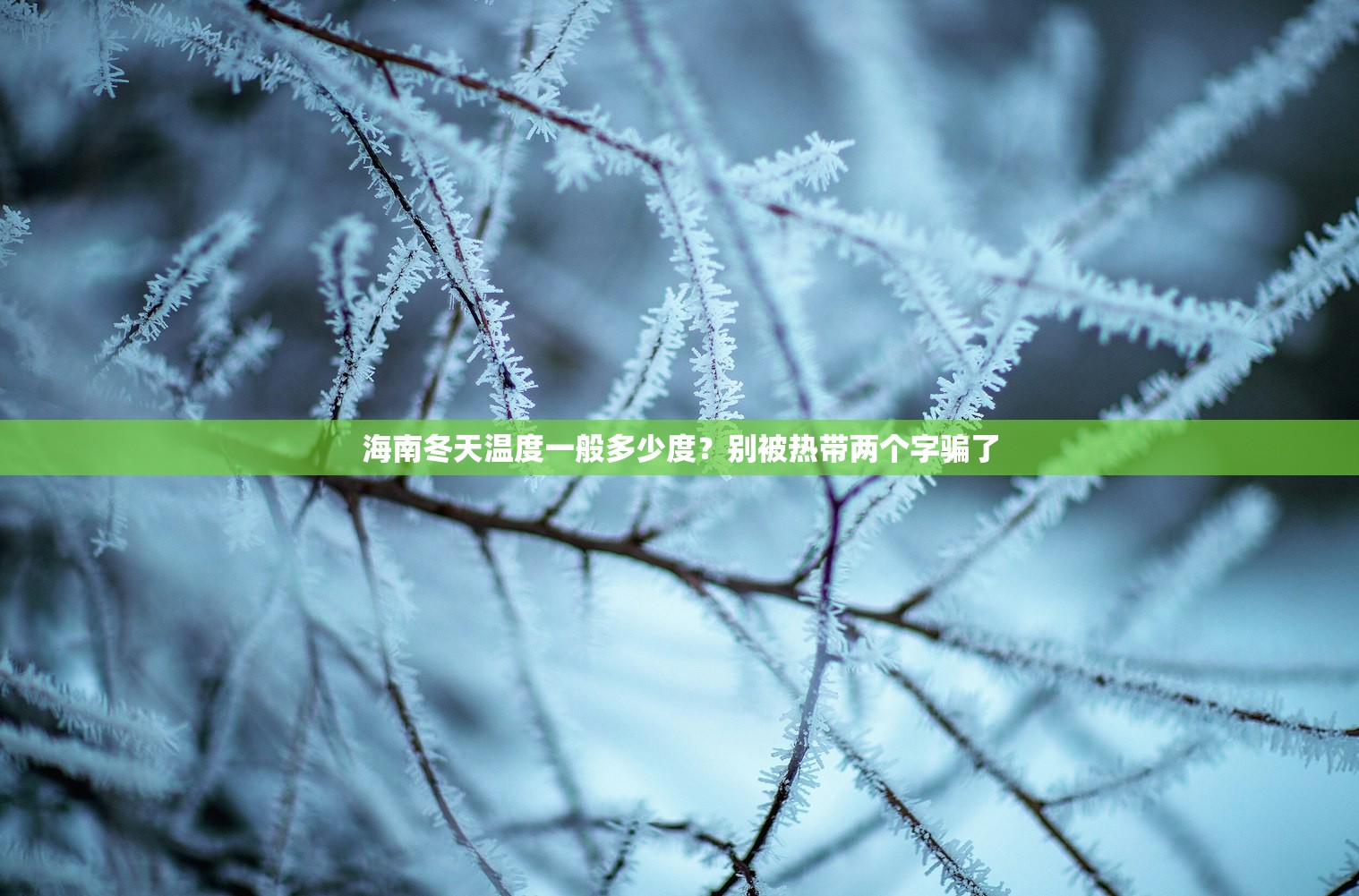 海南冬天温度一般多少度?别被热带两个字骗了 海南冬天温度一般多少度?别被热带两个字骗了