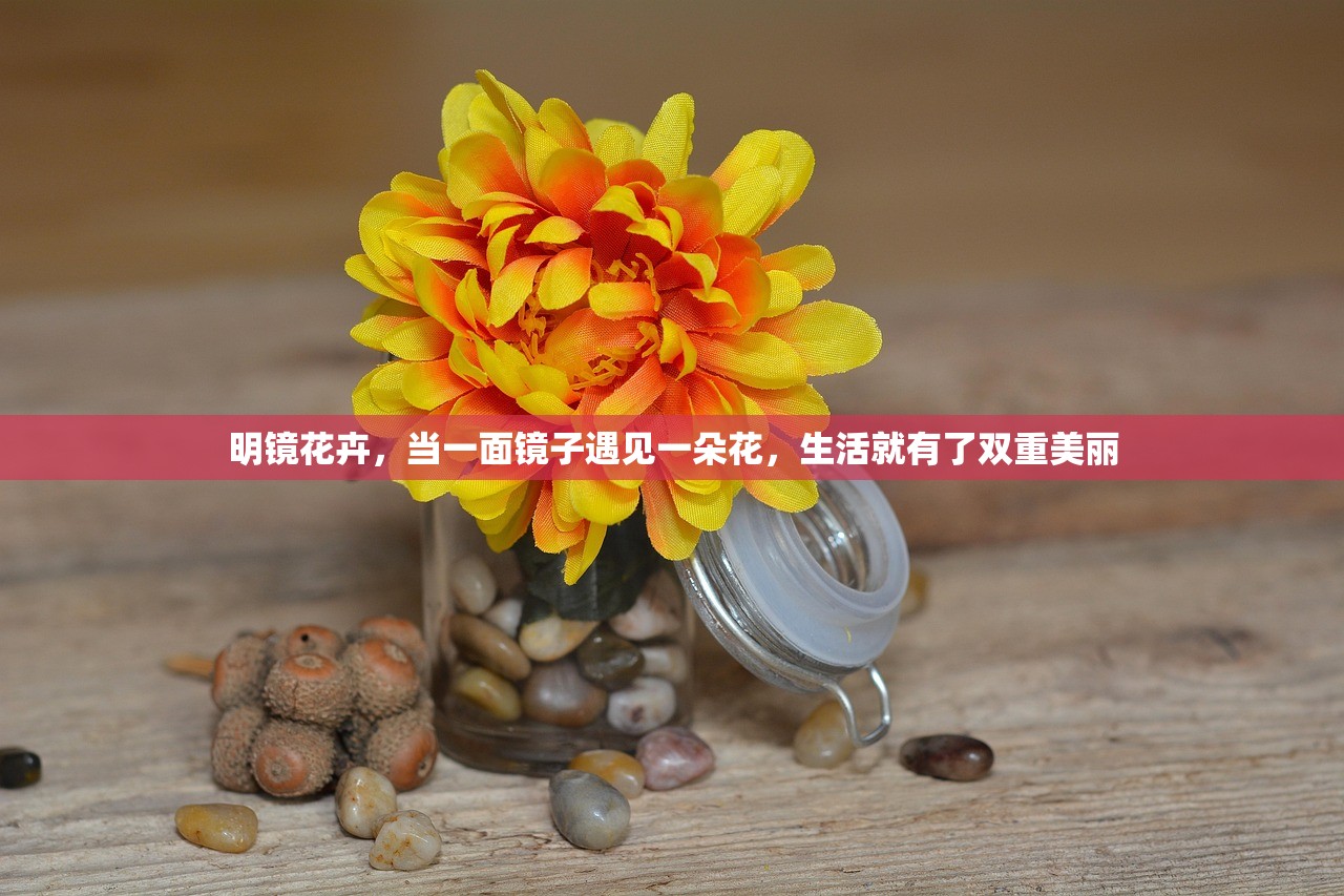明镜花卉,当一面镜子遇见一朵花,生活就有了双重美丽 明镜花卉,当一面镜子遇见一朵花,生活就有了双重美丽