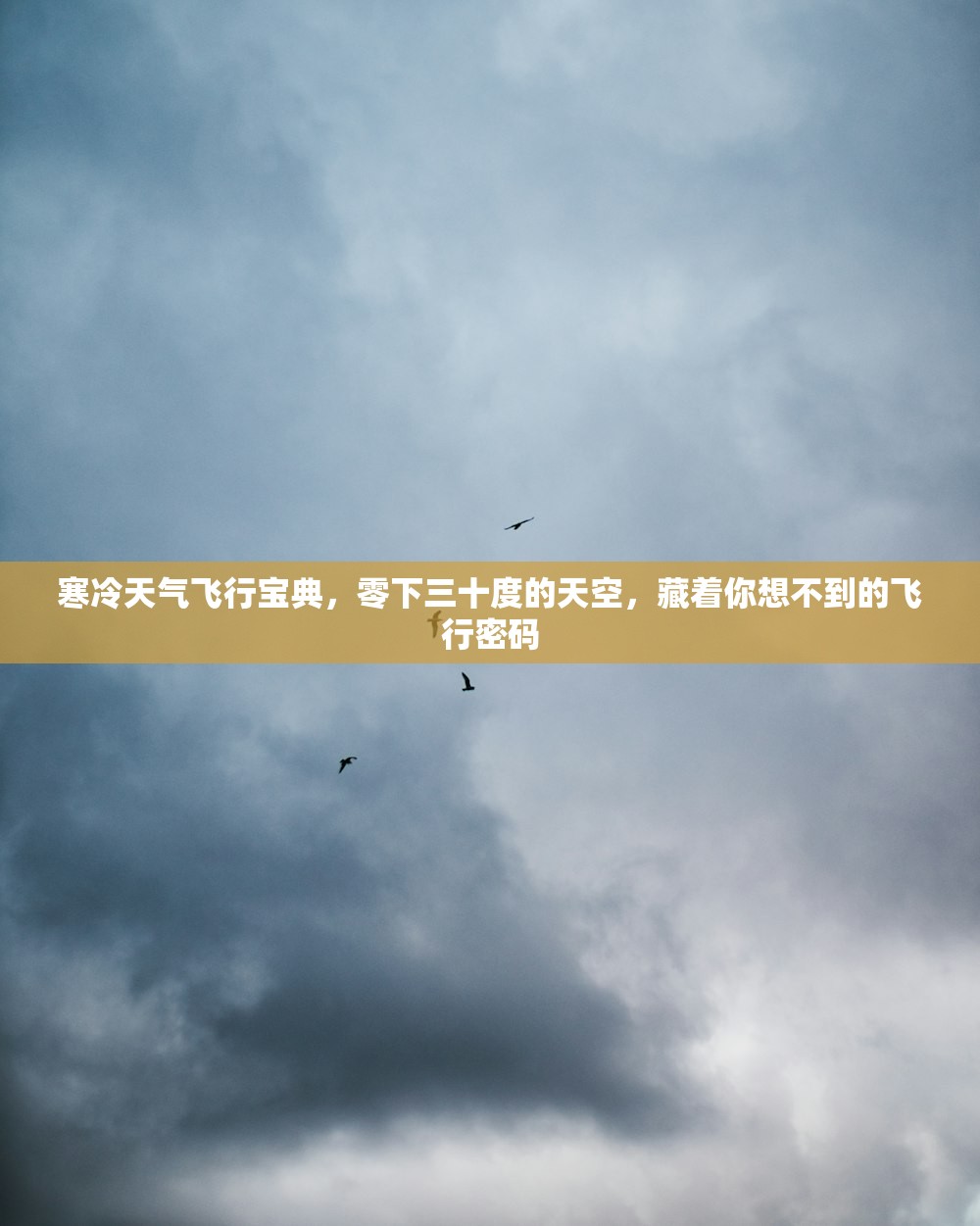寒冷天气飞行宝典,零下三十度的天空,藏着你想不到的飞行密码 寒冷天气飞行宝典,零下三十度的天空,藏着你想不到的飞行密码